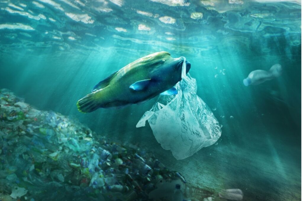 海洋プラスチック問題の現状と深刻さ