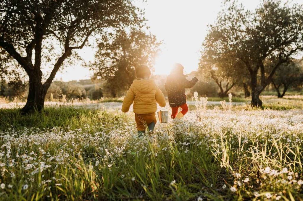 地方創生の主な取り組み