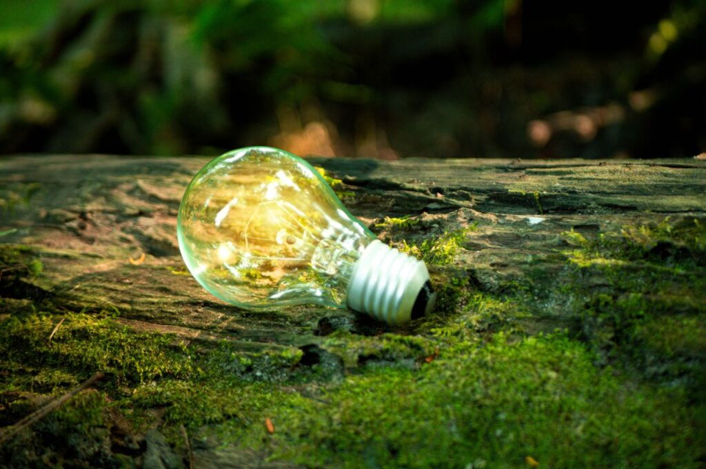 今後の展望と課題