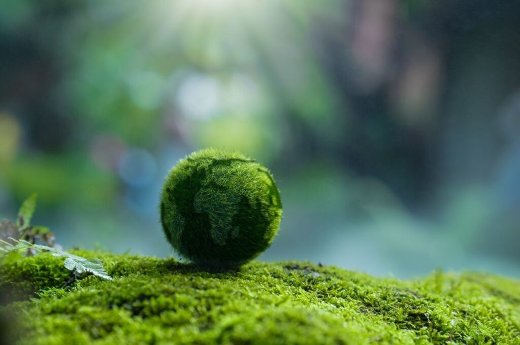 環境性と倫理性を考える