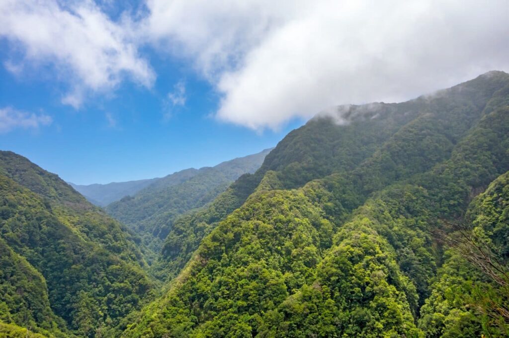 信州伊那谷の文化と経木 ― 地域資源を活かした持続可能な産業