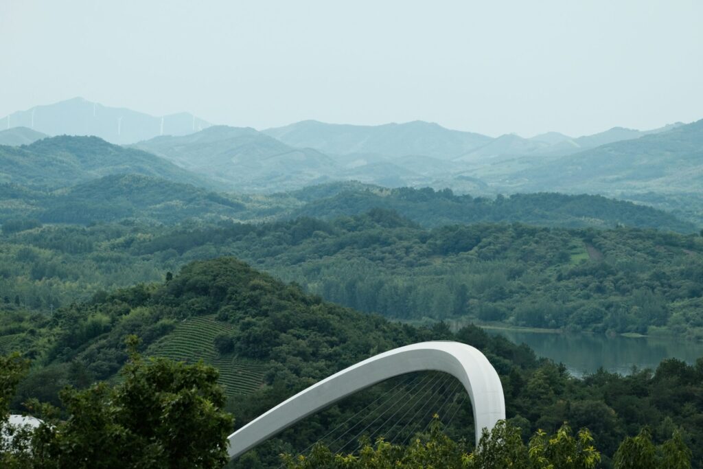 今後の展望と持続可能な仕組みづくり