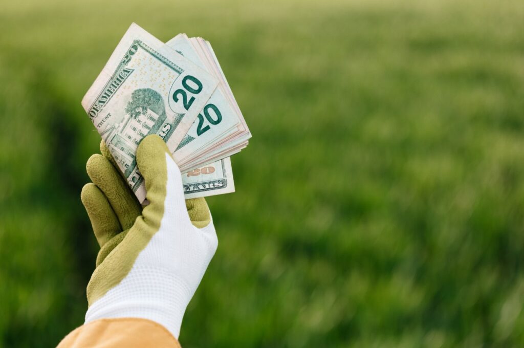 遊休農地の活用と利用できる補助金制度