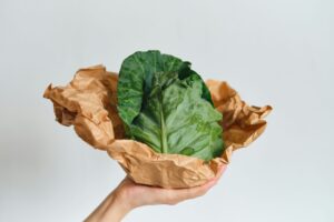 植物性プラスチックとは?環境に優しい素材の可能性と課題を徹底解説