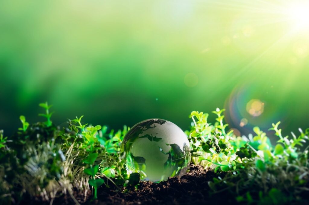 RefFがもたらす環境メリットと社会的意義