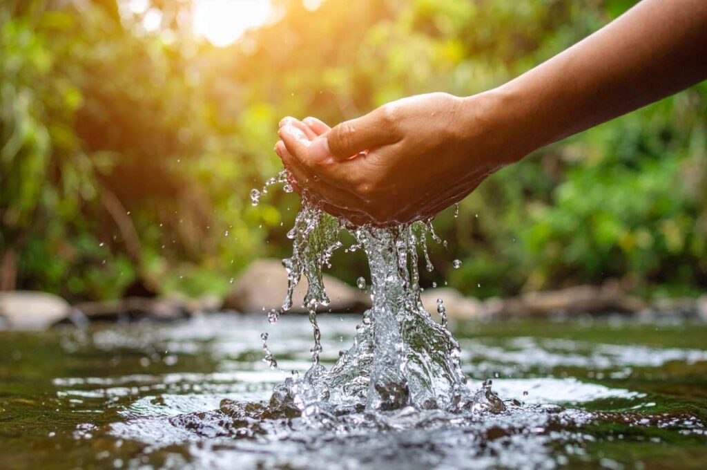 成功事例から学ぶサステナビリティ・ブランディング