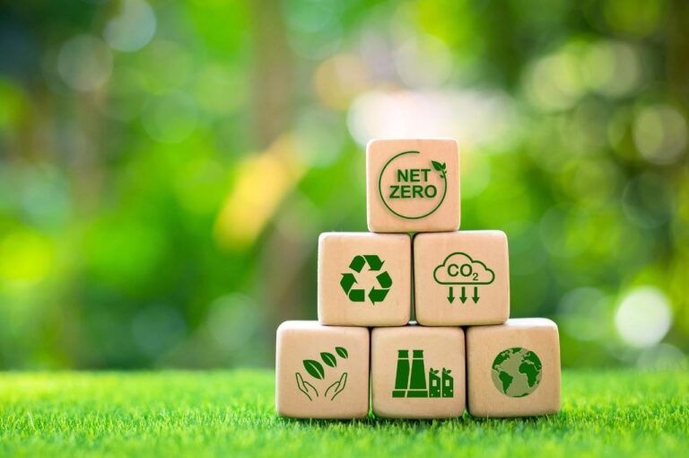 サステナビリティ・ブランディングで企業価値を高める方法｜メリット・実践ステップ・成功事例を徹底解説