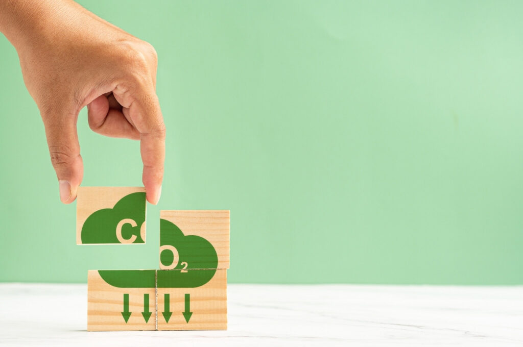 サステナビリティ経営の取り組み領域と実践事例