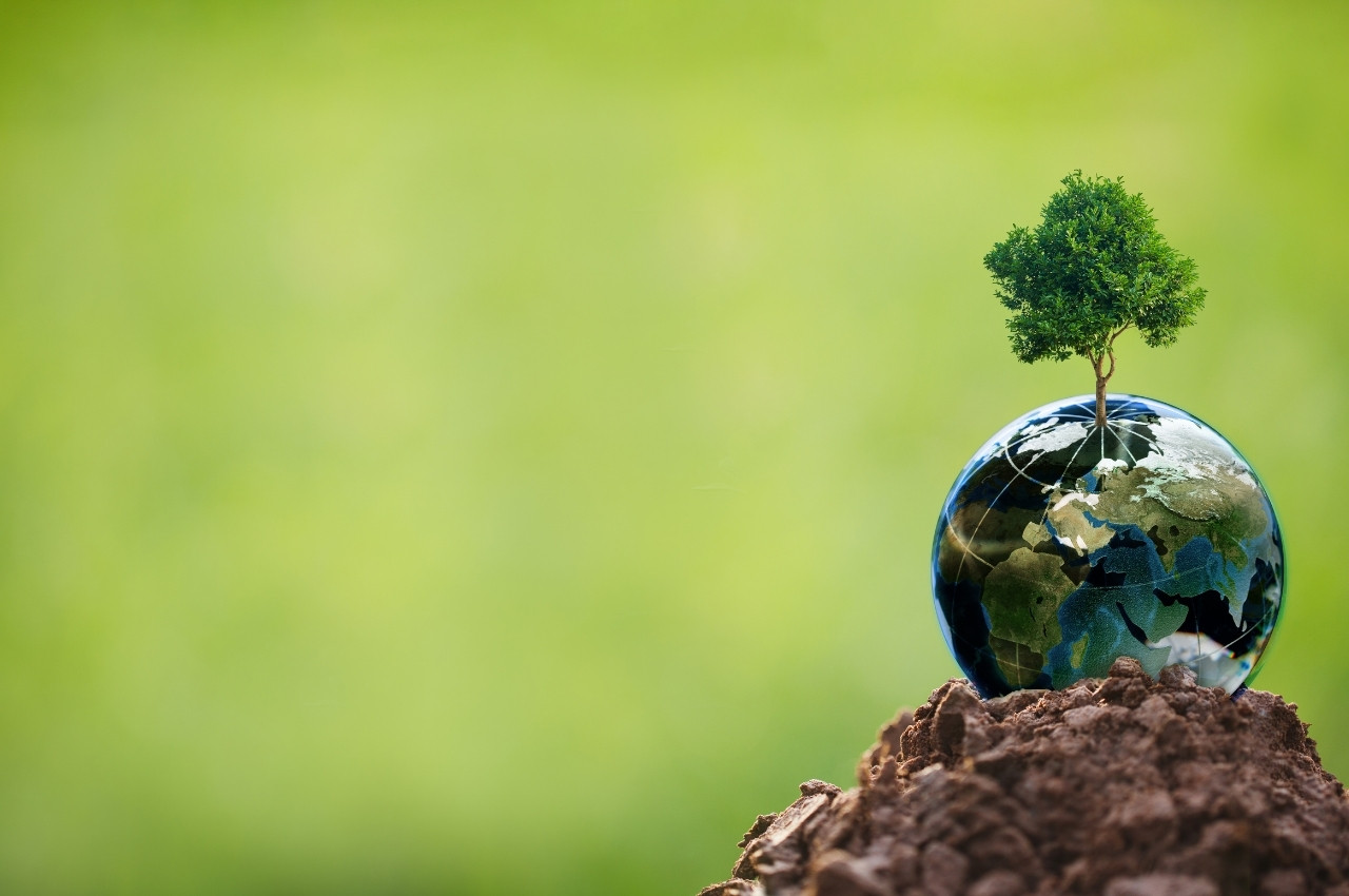 CSR活動とは？メリットやマクドナルド・ユニクロ・トヨタの企業事例からわかりやすく解説