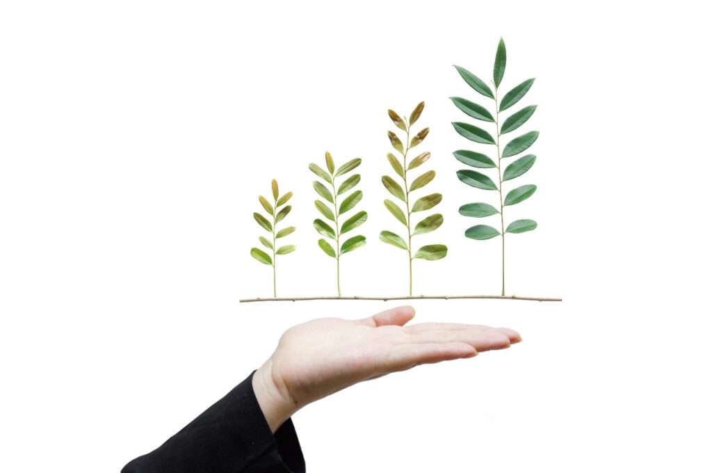 自社でCSR活動を始めるための5つのステップ