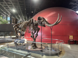 生物多様性の宝庫を体験！兵庫県立人と自然の博物館で学ぶ持続可能な未来