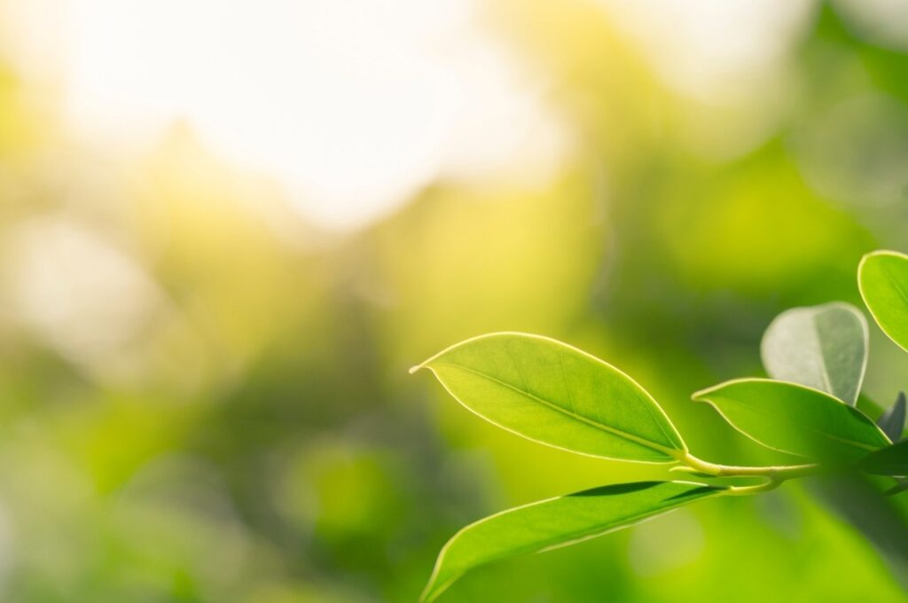 ネイチャーポジティブとは