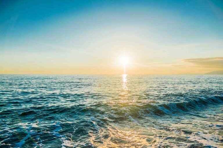 レアアース泥とは？日本が注目する深海資源の可能性と実用化への道のり