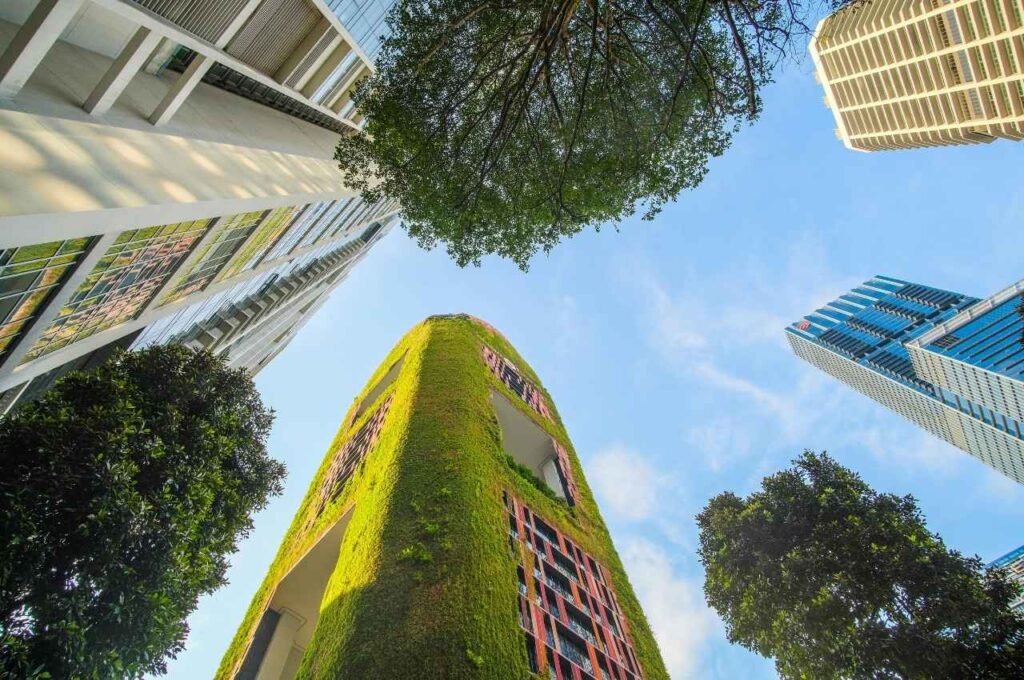 持続可能な開発とは何か？その定義と背景