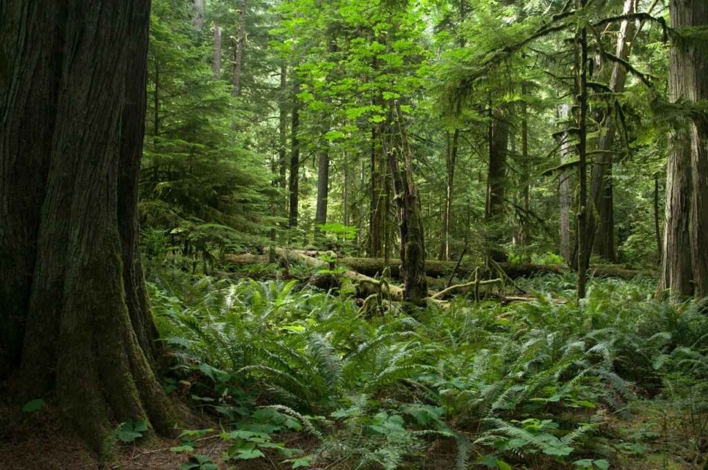 【自治体】SDGs未来都市の先進事例