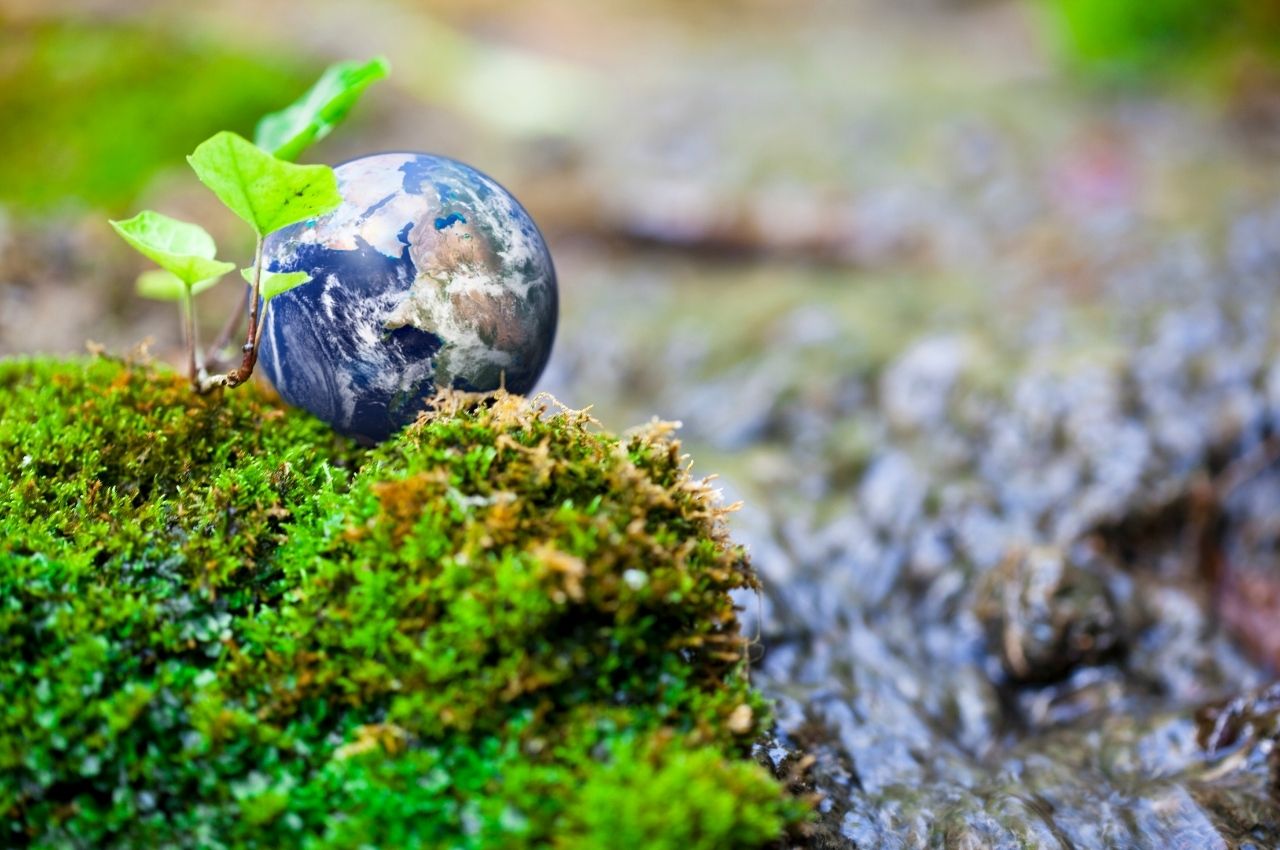 カーボンニュートラル 企業が今すぐ知っておくべき取り組みと事例をわかりやすく解説