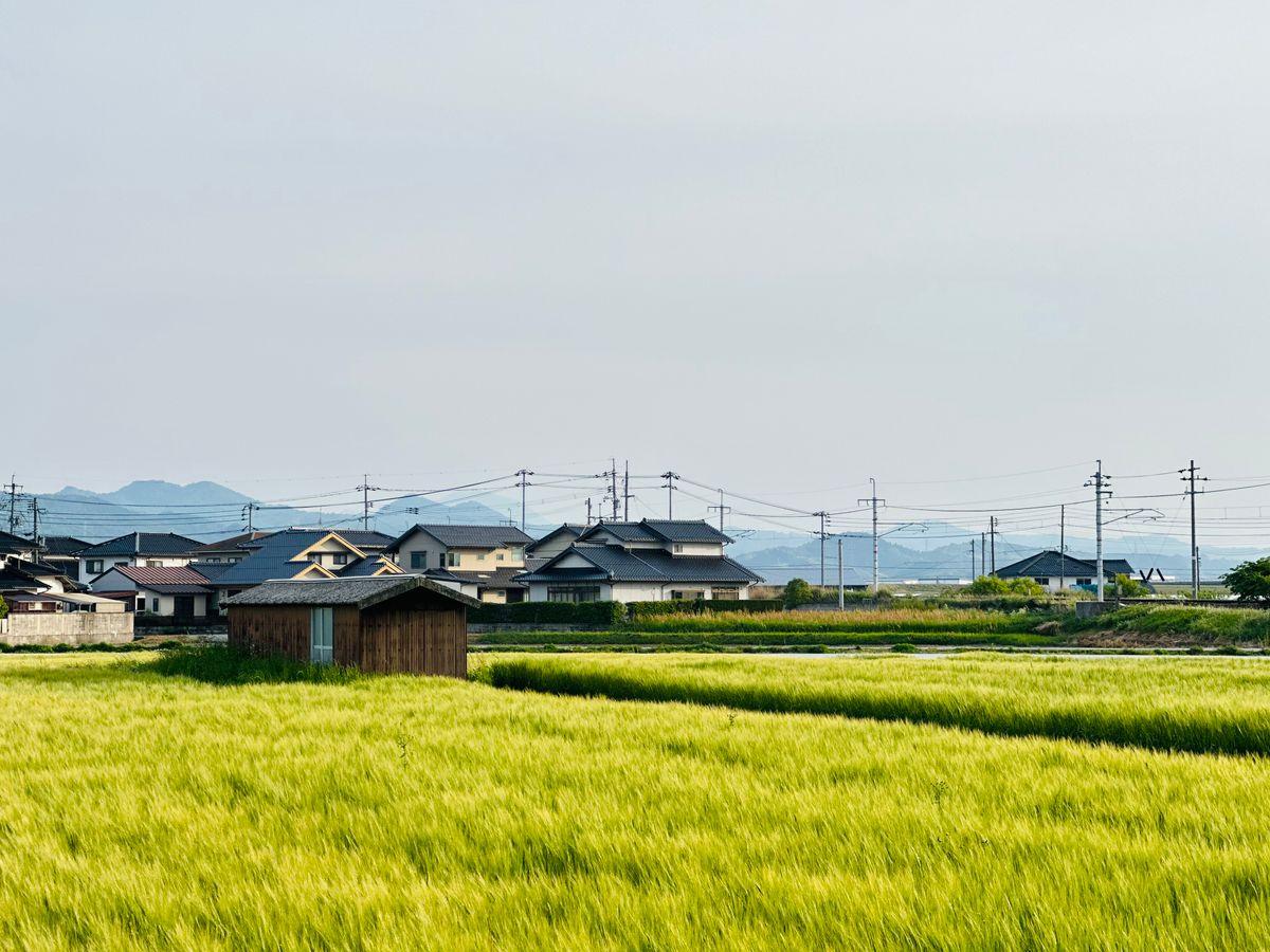 田畑と瓦屋根の家が並ぶ日本の農村風景