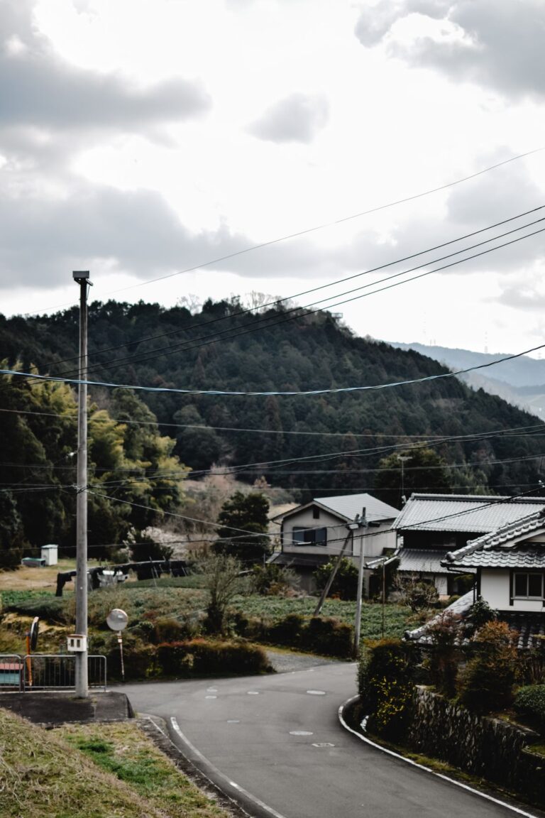 山あいの集落を通る道路と伝統的な民家、地方創生の舞台となる地域の風景