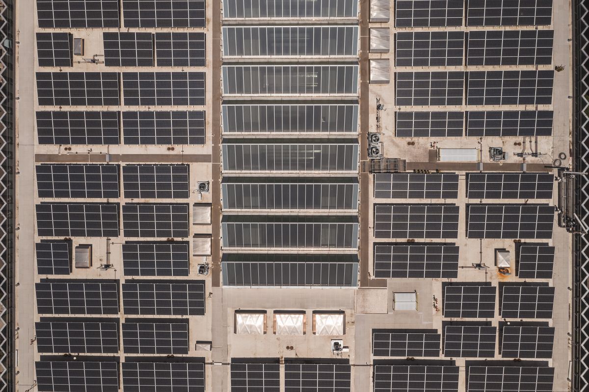 太陽光パネルが並ぶ工場や物流施設の屋根を真上から見た写真