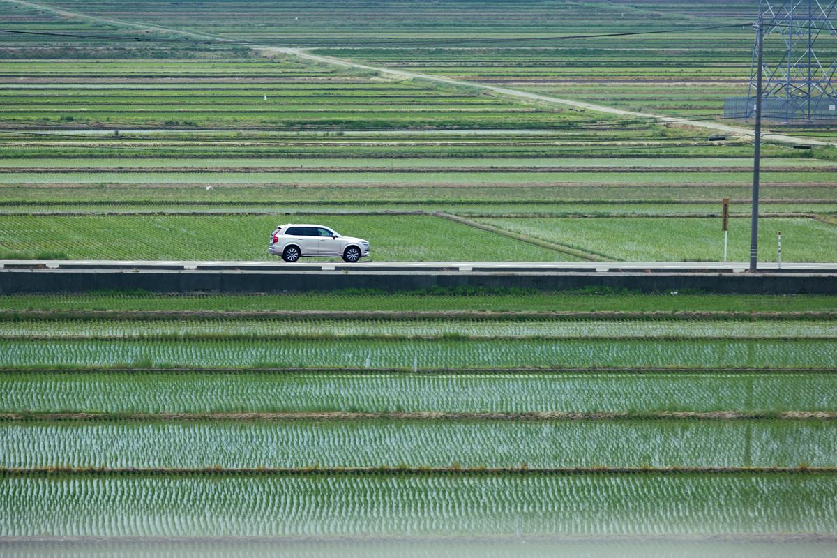 水田の中の道路を走る乗用車と地方の移動のイメージ