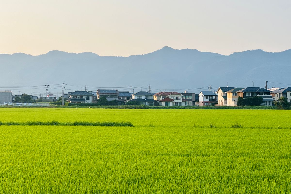 朝の光の中で広がる日本の水田と住宅地、背景に山並み