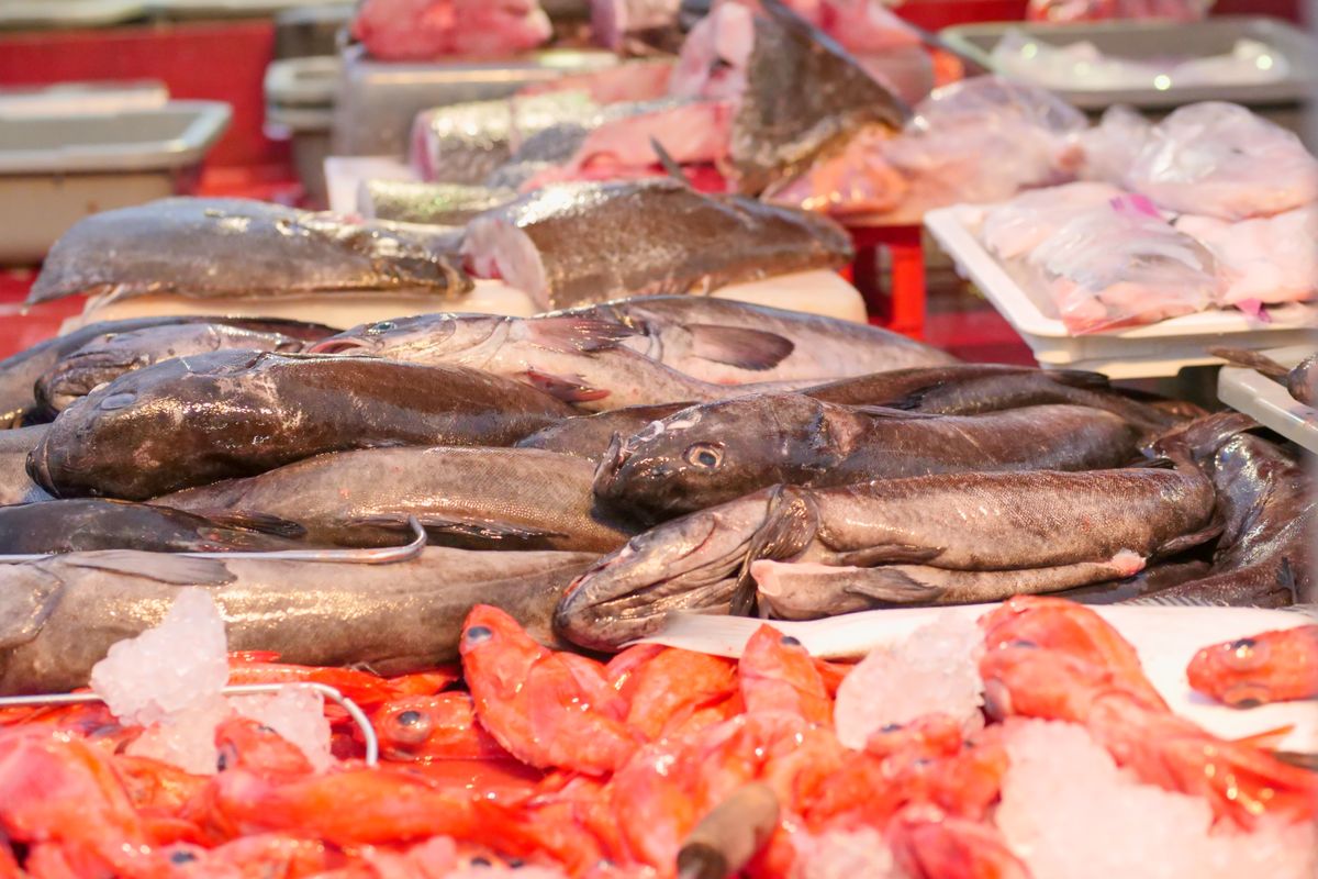 氷の上に並べられた鮮魚