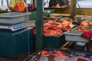 海に囲まれた魚市場に並ぶ鮮魚