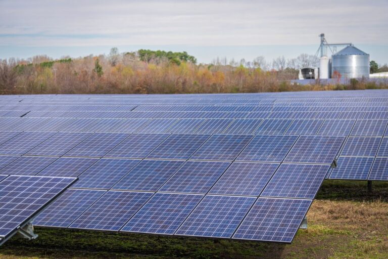 生活クラブでんきの電源にもなる太陽光パネルが広がる発電所
