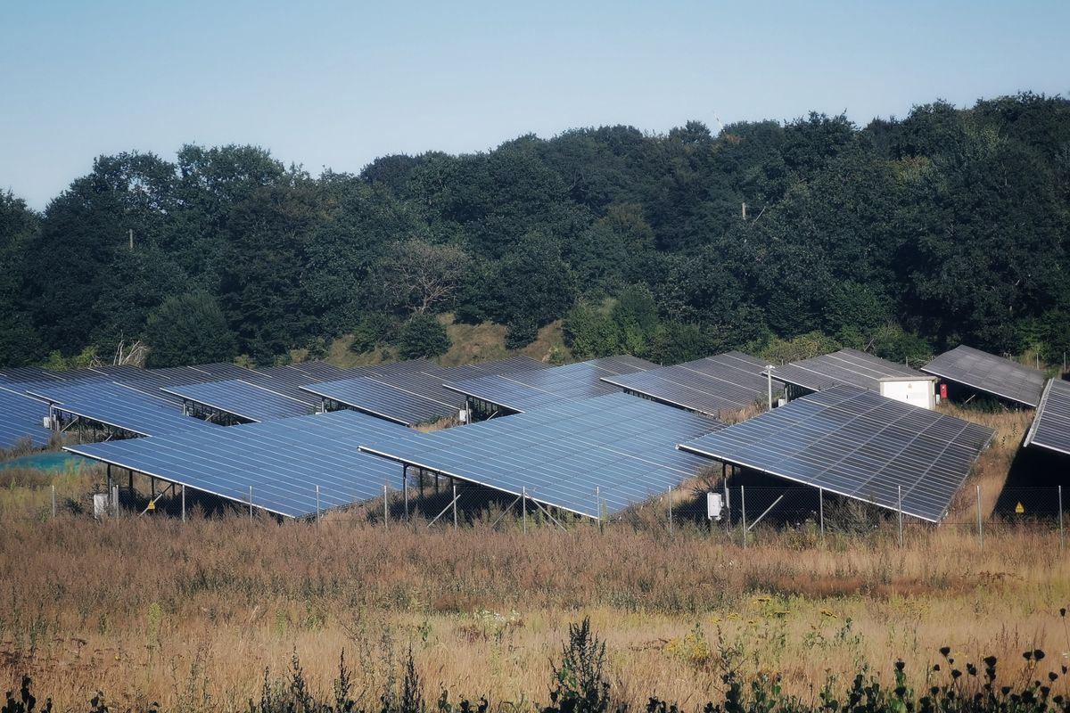 木々を背景に太陽光パネルが並ぶ再生可能エネルギーの発電所