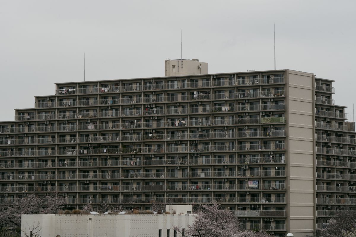 桜の木の前に建つ東京の大規模な集合住宅