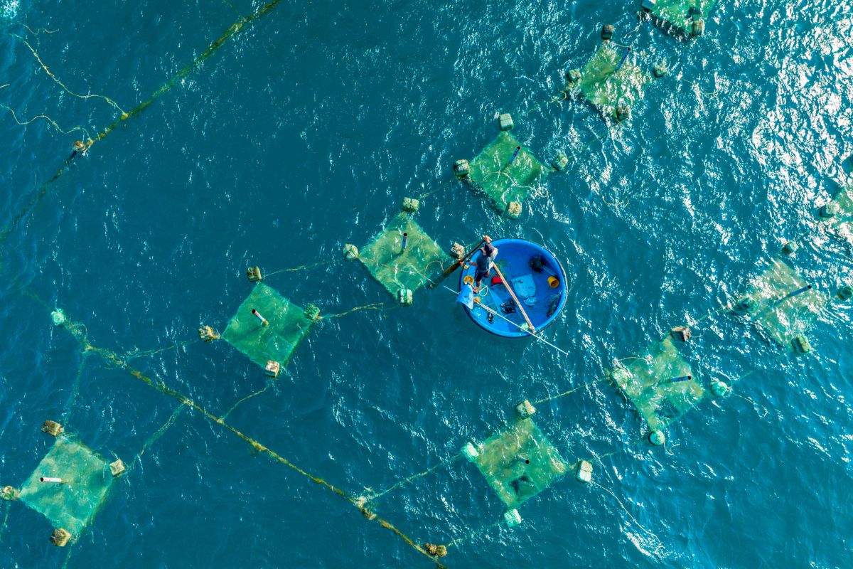 小舟で海上の養殖施設を管理する人を上空から見た様子